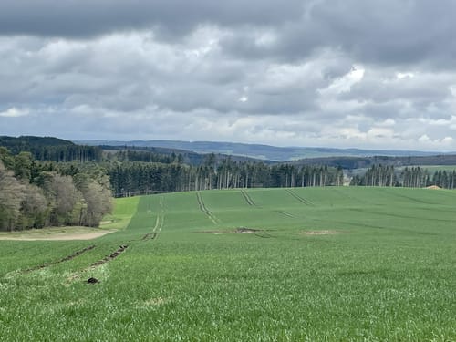 Bauler - Gelenberg - Bodenbach