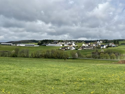 Bauler - Gelenberg - Bodenbach
