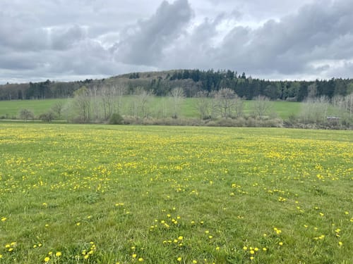 Bauler - Gelenberg - Bodenbach