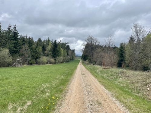 Bauler - Gelenberg - Bodenbach