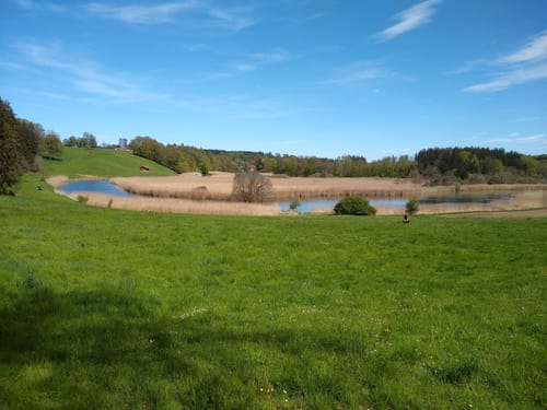 Archäologischer Rundweg Seebruck