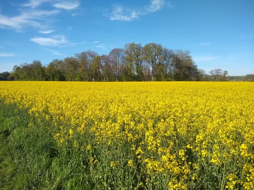 Klosterweg Chiemsee
