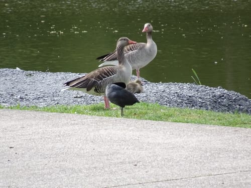 Von Wasser und Wein (WT2)