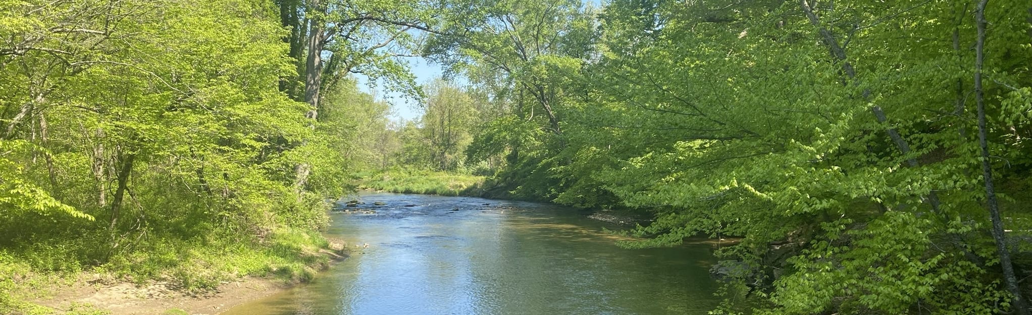 Strahorn, Creek Road, and Little Egypt Loop 154 Reviews, Map