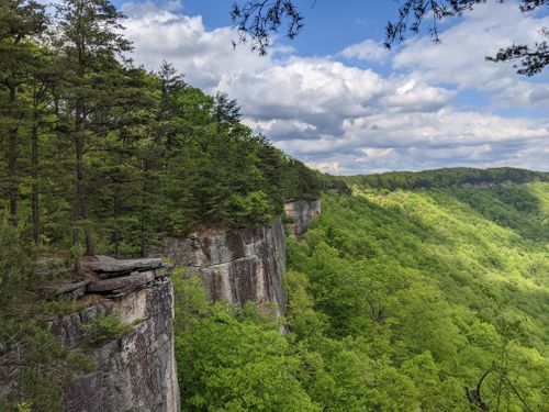 10 Best Hikes and Trails in New River Gorge National Park and Preserve ...