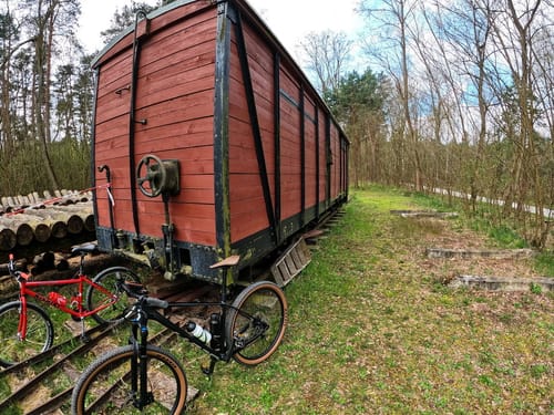Durch die Lieberoser Heide