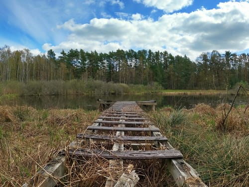 Halbmarathon durch die Lieberoser Heide