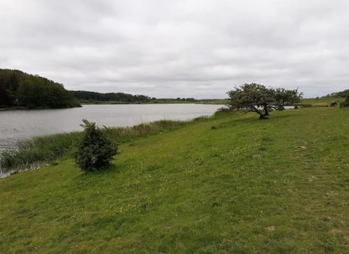 Winderatter See Runde