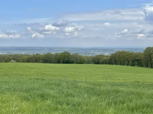 Rund um die Tomburg