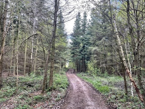 Rund um die Tomburg