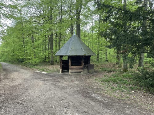 Rund um die Tomburg
