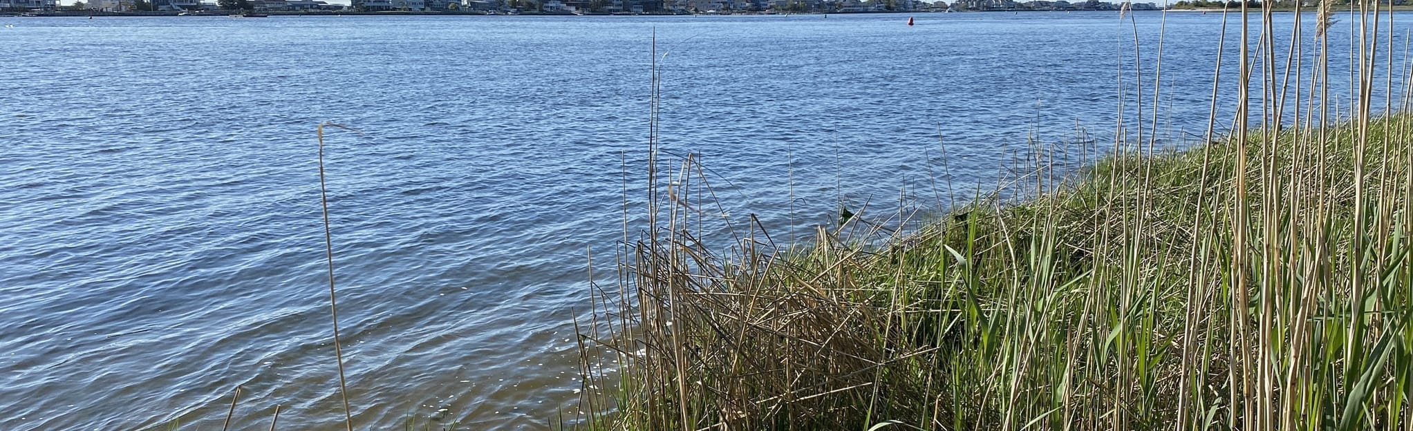 Bunker Ruins via Rocky Point Trail and Battery Loop Map, Guide New
