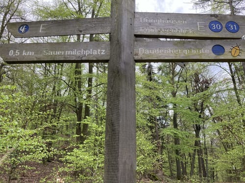 Urwaldsteig Etappe 2: Hemfurth - Bringhausen