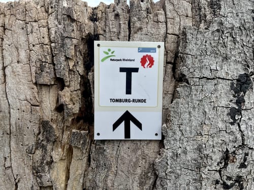 Rund um die Tomburg