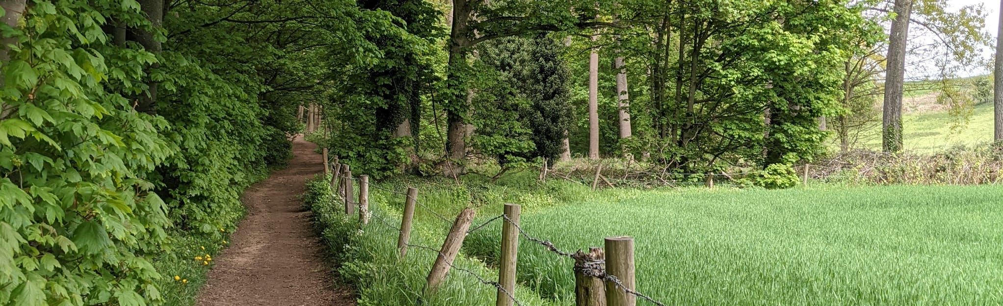 Fir Lodge and Hagley Circular West Midlands, England AllTrails