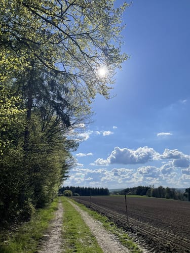 HeimatSpur Erlebnisweg Achterhöhe