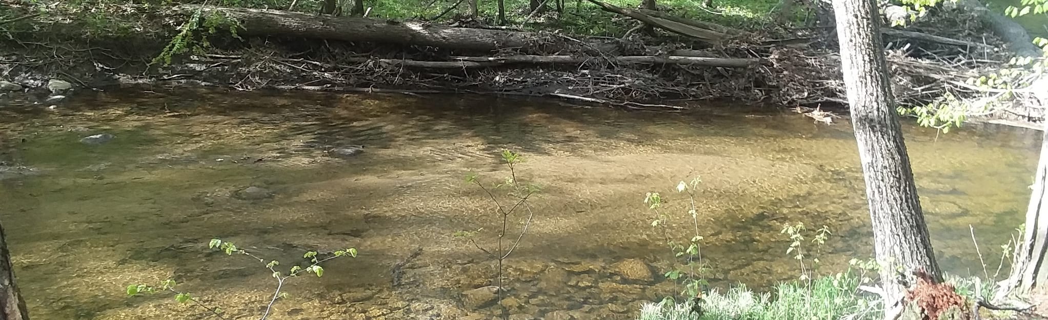 Wood Road Nature Trail, New York 14 Reviews, Map AllTrails