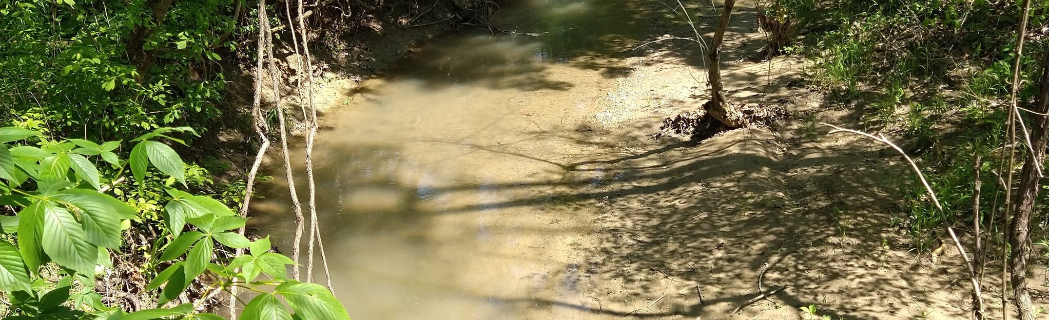 Twin Bridges Loop Trail 59 Reviews, Map Indiana AllTrails