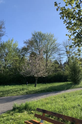 Von Holzgerlingen über den Karl-Regeles-Weg