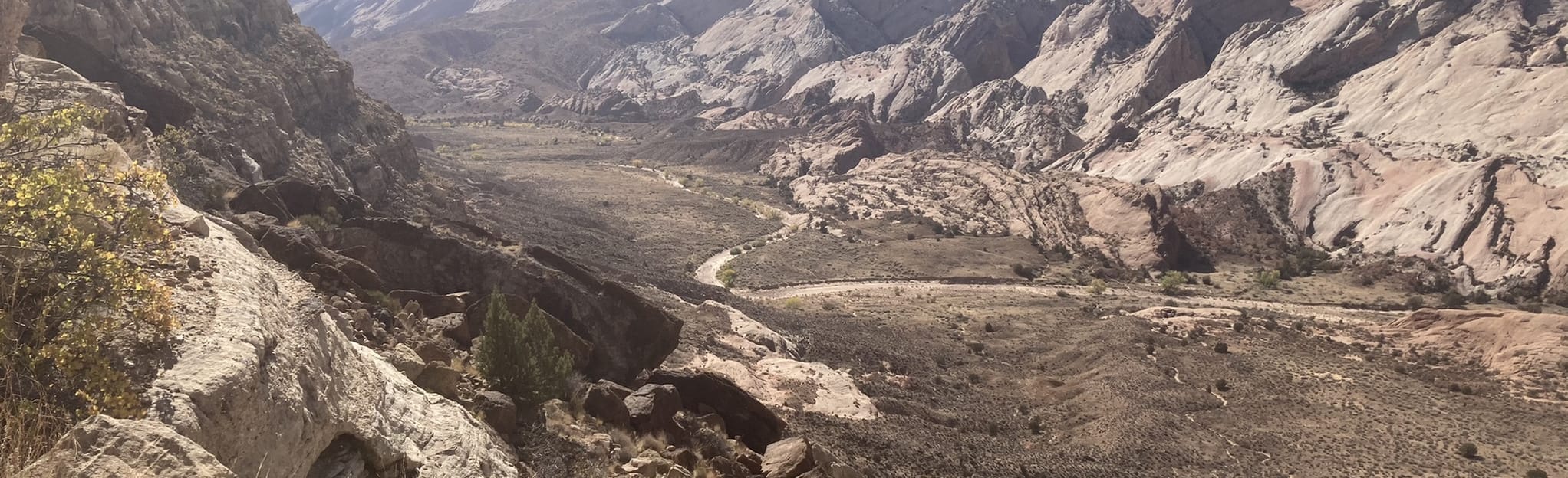 Brimhall Natural Bridge 55 Photos Utah Randonnée AllTrails