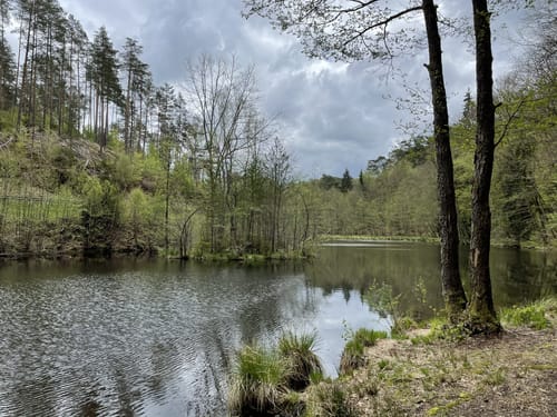 Eulenfels-Tour (Premiumwanderweg)