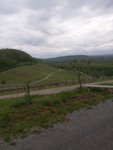 Mettenbacher Mühle zur Metter Quelle & Haefnerhaslach