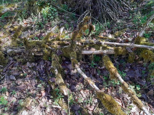 Zwischen Bürbach und Breitenbach