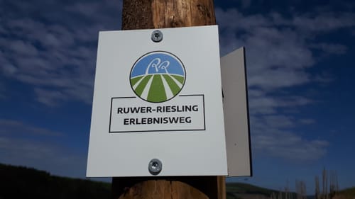 Ruwer-Riesling Erlebnisweg