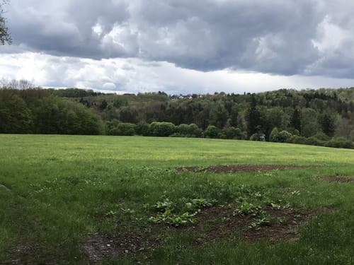 Weilerhau - Bechtenrain