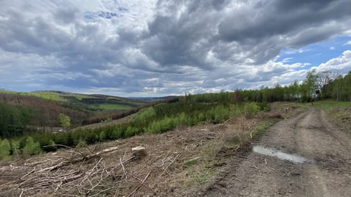 Gösberg Rundweg