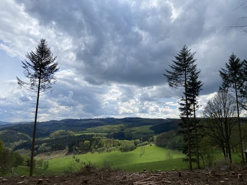 Rundweg Pungelscheid - Hilfringhausen
