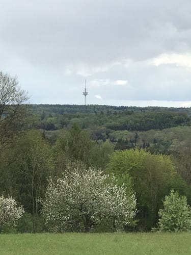 Rennstrecke Filder-Volkslauf