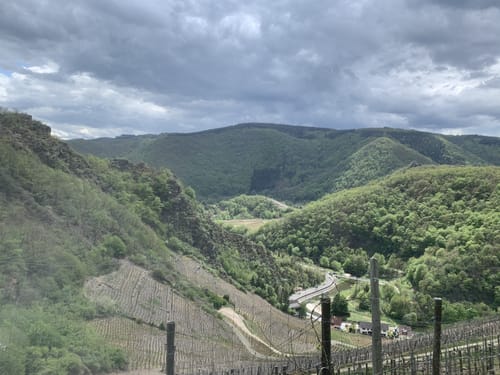 Rotweinwanderweg von Altenahr nach Dernau