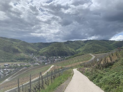 Rotweinwanderweg von Altenahr nach Dernau