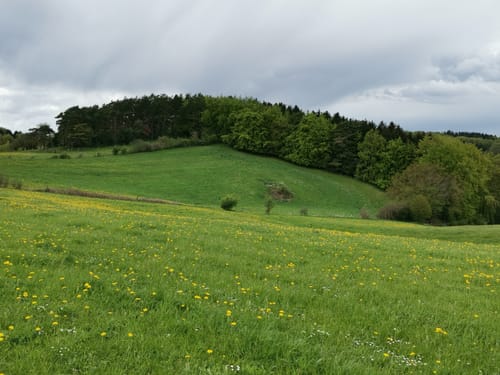 EifelSchleife Rund um die Kakushöhle