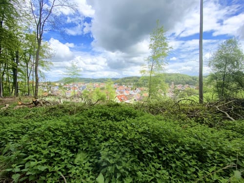 Herzog-Karl-II-August-Pfad (Premiumwanderweg)