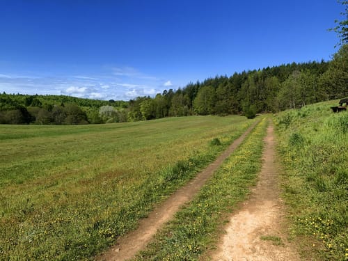 Herzog-Karl-II-August-Pfad (Premiumwanderweg)
