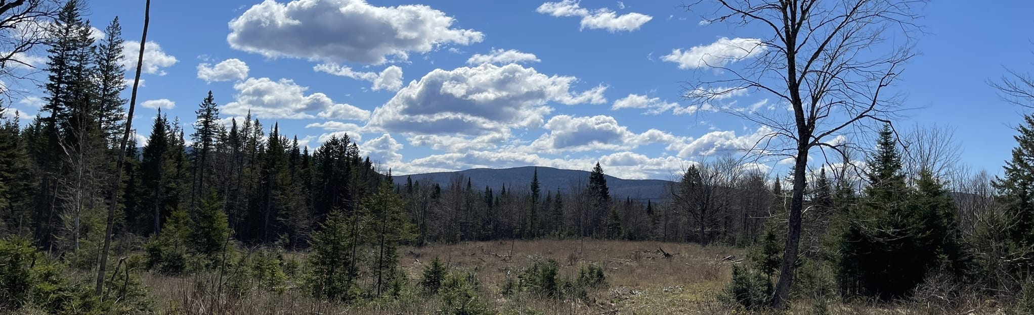 Moose Alley Trail, New Hampshire 109 Reviews, Map AllTrails