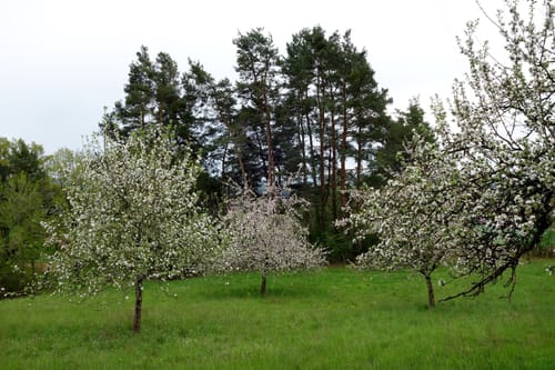 Fränkisches Seenland: Gräfensteinberg - Brombach