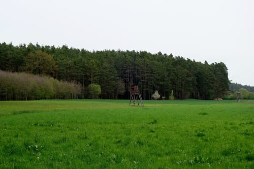 Ringwallweg