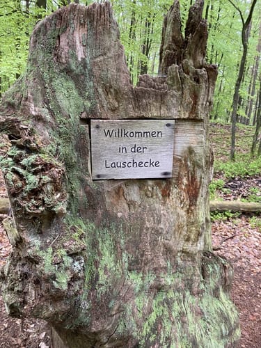 Müritz-Nationalpark und UNESCO Weltnaturerbe Serrahner Buchenwälder
