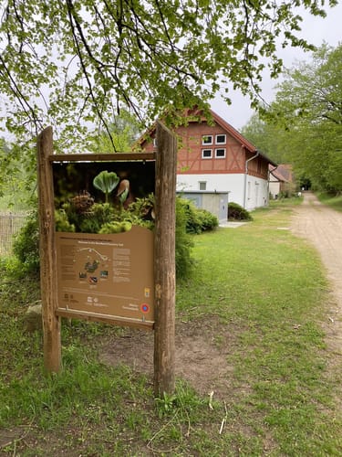 Müritz-Nationalpark und UNESCO Weltnaturerbe Serrahner Buchenwälder
