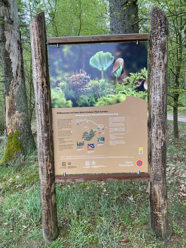 Müritz-Nationalpark und UNESCO Weltnaturerbe Serrahner Buchenwälder
