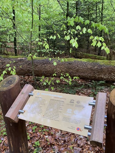 Müritz-Nationalpark und UNESCO Weltnaturerbe Serrahner Buchenwälder