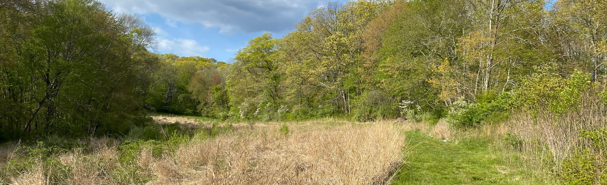 Sprague Land Perimeter Loop, Connecticut 116 Reviews, Map AllTrails