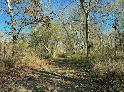 Best Waterfall Trails in Big Bend - EyJidWNrZXQiOiJhc3NldHMuYWxsdHJhaWxzLmNvbSIsImtleSI6InVwbG9hZHMvcGhvdG8vaW1hZ2UvMzYzNTgyMTgvZjE4ZWY3ZWQwYzY4M2IyNGZjZmEzYzQ4ZGMzZDAwYWIuanBnIiwiZWRpdHMiOnsidG9Gb3JtYXQiOiJ3ZWJwIiwicmVzaXplIjp7IndpZHRoIjo1MDAsImhlaWdodCI6NTAwLCJmaXQiOiJpbnNpZGUifSwicm90YXRlIjpudWxsLCJqcGVnIjp7InRyZWxsaXNRdWFudGlzYXRpb24iOnRydWUsIm92ZXJzaG9vdERlcmluZ2luZyI6dHJ1ZSwib3B0aW1pc2VTY2FucyI6dHJ1ZSwicXVhbnRpc2F0aW9uVGFibGUiOjN9fX0=