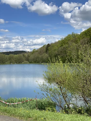Premiumwanderweg: Wäller Tour Elberthöhen
