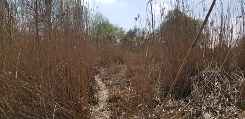 Palzing - Amper Runde