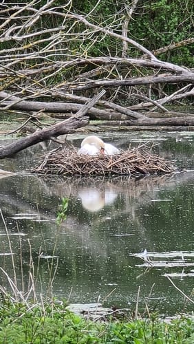 WasserWeg Wurm / Worm