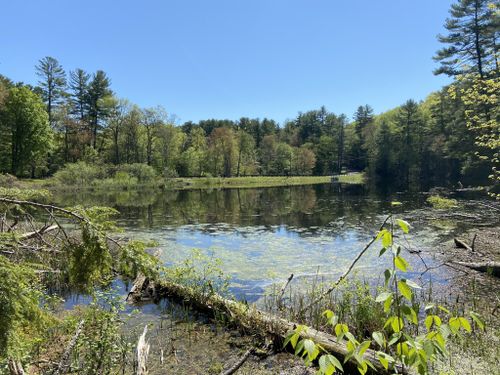 2023 Best 10 Trails and Hikes in Holyoke | AllTrails